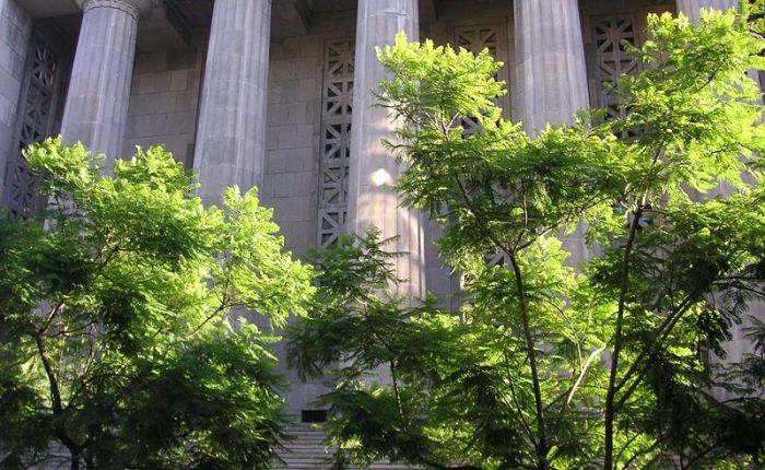 Pase: de Algo3 a&nbsp;MeMo2