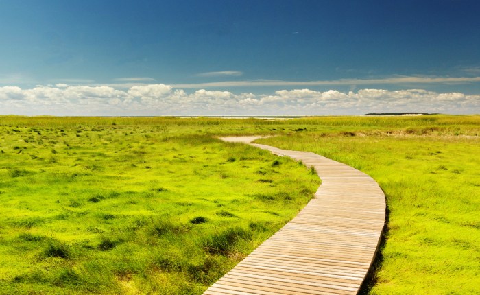 Nuevo proyecto, nuevos&nbsp;desafíos