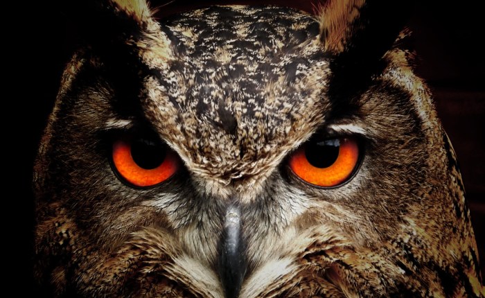 El curioso incidente del Scrum Master y el merge a&nbsp;master